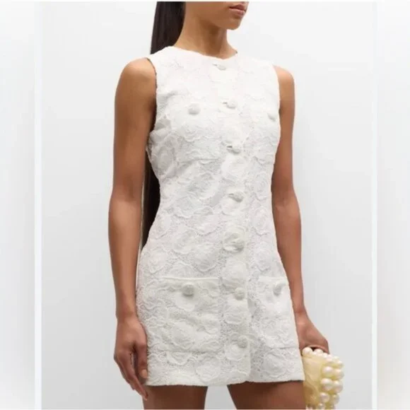 Alexis Layla Sleeveless Lace Mini Dress - Picture 3 of 9